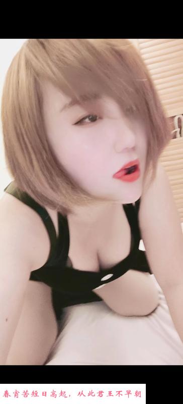 过年不回家的波波 第1张