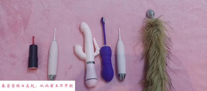 南京玩具欲奴 第3张