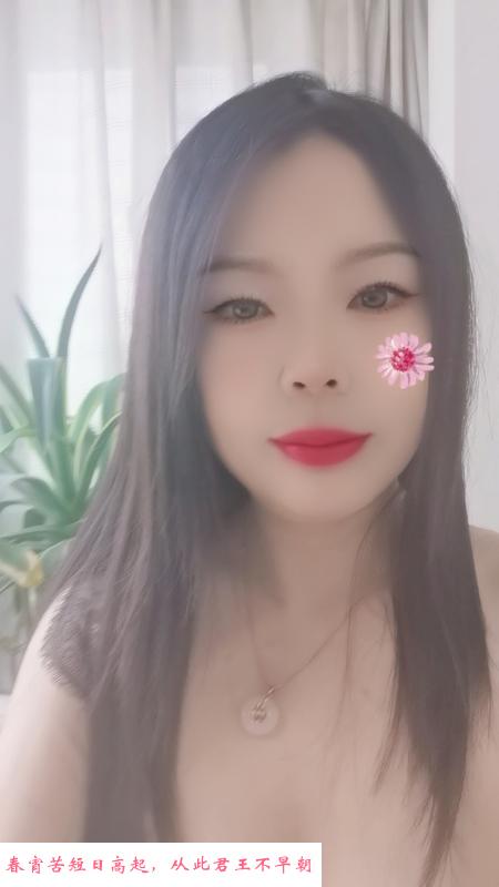 双井淑女 第1张