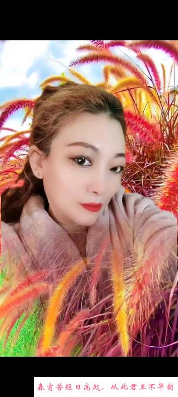 铁西熟女姐姐 第1张